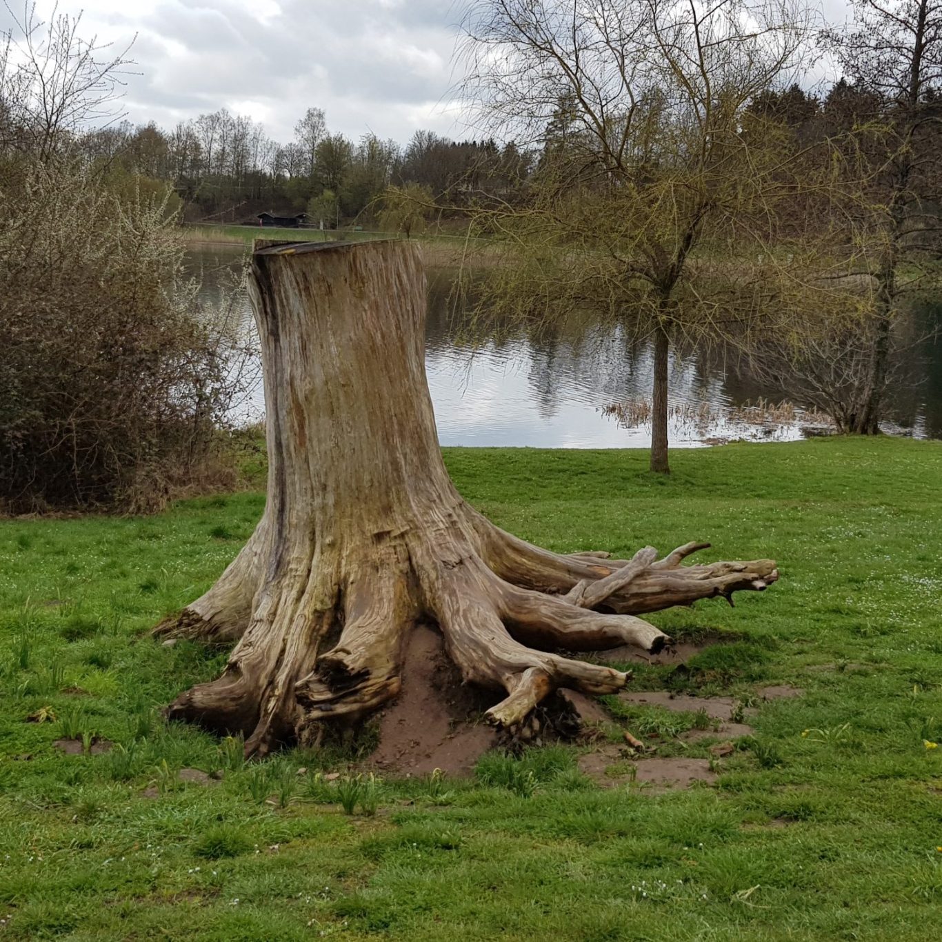 Fischweiher mit angeln Möglichkeiten Fischweiher Bommersbachtal